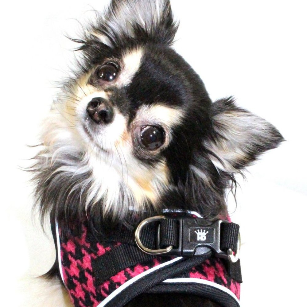 EZ Reflective Harness Vest - Pink/White - Picture 6 of 6